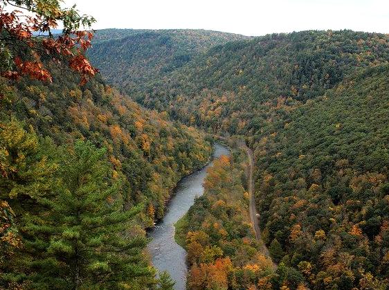 Journey through the stunning landscapes of Golton Gorge.