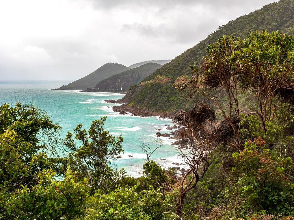 Breathtaking Views from Mount Defiance Lookout in the Otways