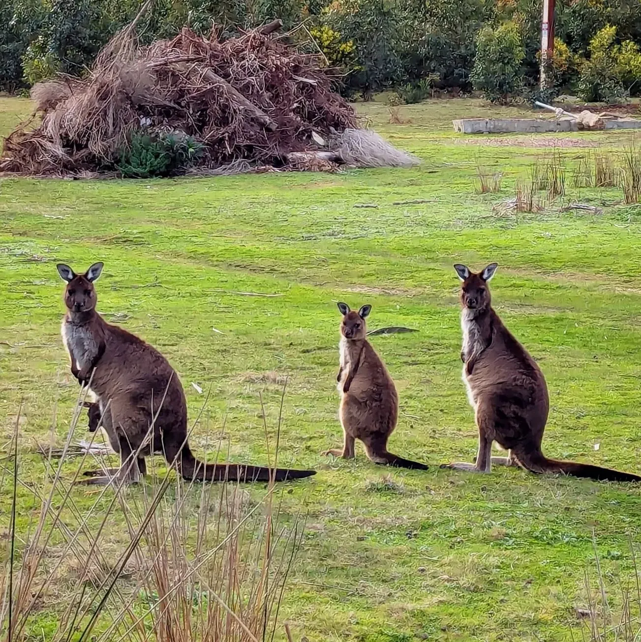 decostaricaenmexico | What’s the Best Season to Visit the Great Ocean Road?